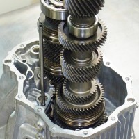 新品も観る! 新品も観る!